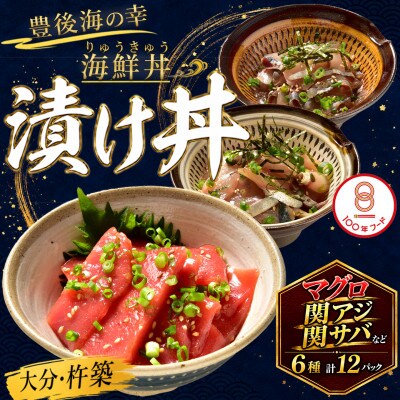 豊後絆屋 海鮮丼[りゅうきゅう漬け] 6種(本マグロ・関あじ・関さば・太刀魚・真鯛・ぶり) 各2食