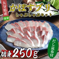 かぼすブリしゃぶセット 切身250g(だし昆布付)