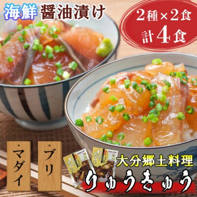 豊後絆屋 大分郷土料理りゅうきゅう漬けセット(お試し2種×2食)