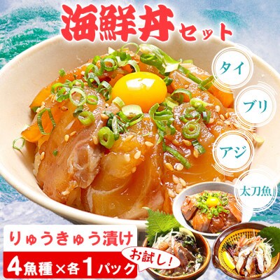 豊後絆屋 海鮮丼[りゅうきゅう漬け] 4種(真鯛・ぶり・真あじ・太刀魚) お試し各1食セット
