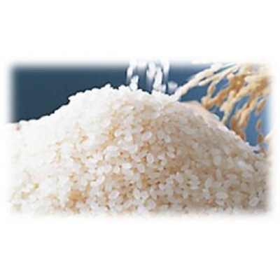 新庄産　ちりめん米　ひのひかり　精米5kg×2袋