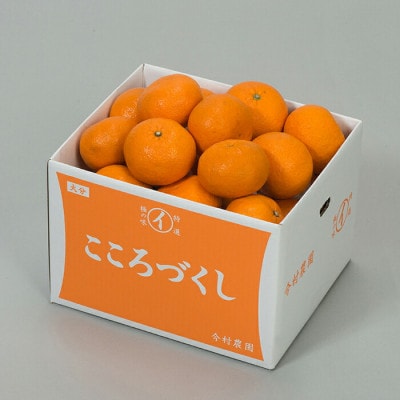 今村農園の蔵姫くらひめ(紅甘夏) 約8kg【秀品】