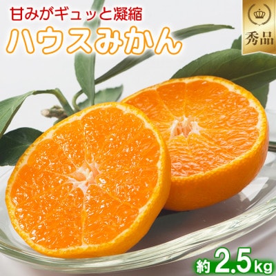 今村農園のハウスみかん 約2.5kg [秀品]