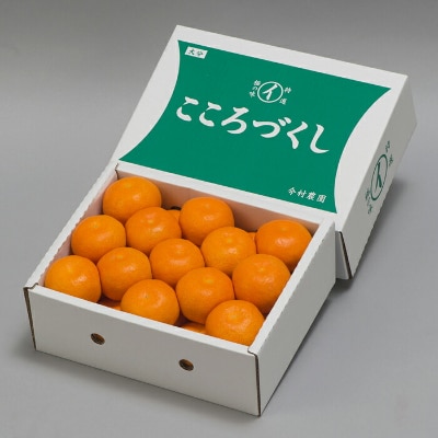 今村農園のハウスみかん 約2.5kg [秀品]