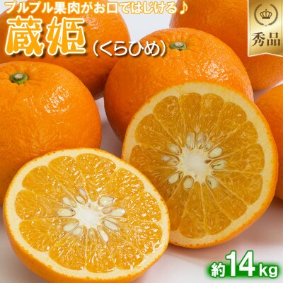 今村農園の蔵姫くらひめ(紅甘夏) 約14kg [秀品] | お礼品詳細