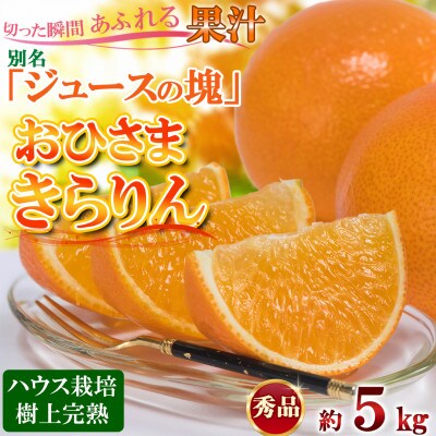 今村農園のおひさまきらりん 約5kg [秀品]