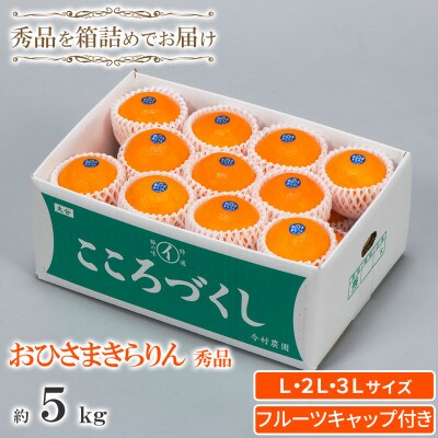 今村農園のおひさまきらりん 約5kg [秀品]