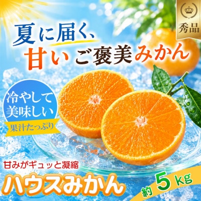 今村農園のハウスみかん 約5kg [秀品]