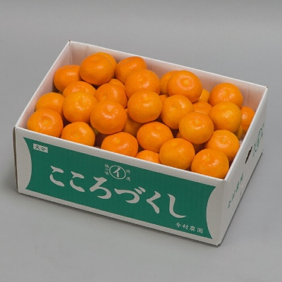 今村農園のハウスみかん 約5kg [秀品]