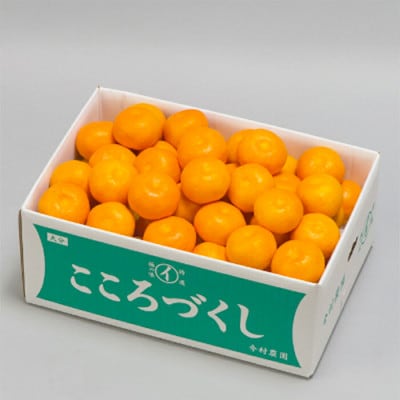 今村農園のハウスみかん 約5kg [秀品]