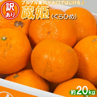[訳あり・優品] 今村農園の蔵姫くらひめ(紅甘夏) 約20kg