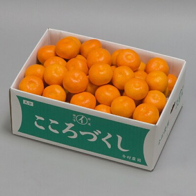 今村農園のハウスみかん 約20kg [秀品]