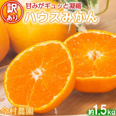 [訳あり・優品] 今村農園のハウスみかん 約1.5kg