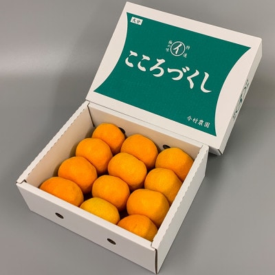 [訳あり・優品] 今村農園のハウスみかん 約1.5kg