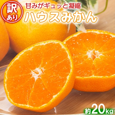 [訳あり・優品] 今村農園のハウスみかん 約20kg