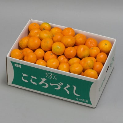 [訳あり・優品] 今村農園のハウスみかん 約20kg