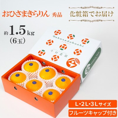 今村農園のおひさまきらりん 約1.5kg [秀品]