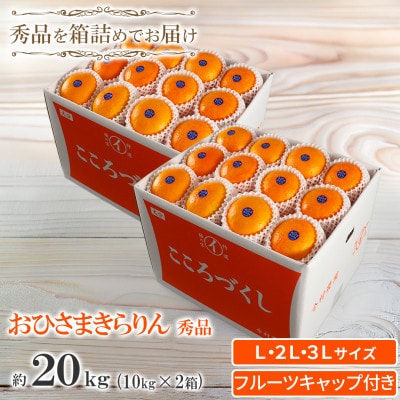 今村農園のおひさまきらりん 約20kg [秀品]