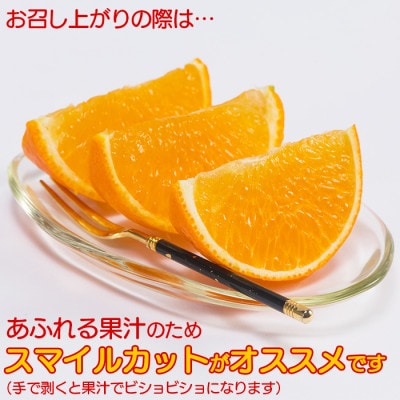 今村農園のおひさまきらりん 約20kg [秀品]