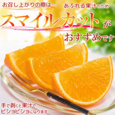 [訳あり・優品] 今村農園のおひさまきらりん 約3.5kg