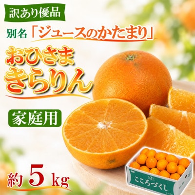 [訳あり・優品] 今村農園のおひさまきらりん 約5kg