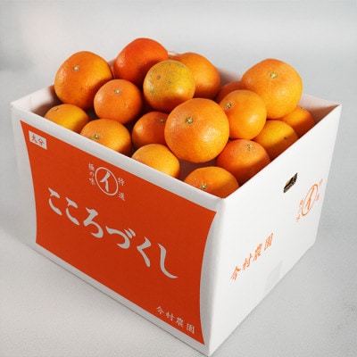 [訳あり・優品] 今村農園のおひさまきらりん 約10kg