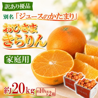 [訳あり・優品] 今村農園のおひさまきらりん 約20kg