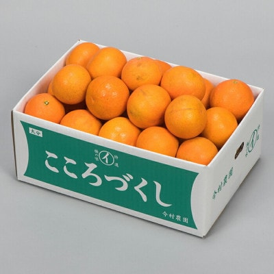 [訳あり・優品] 今村農園のおひさまきらりん 約20kg