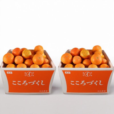 [訳あり・優品] 今村農園のおひさまきらりん 約20kg