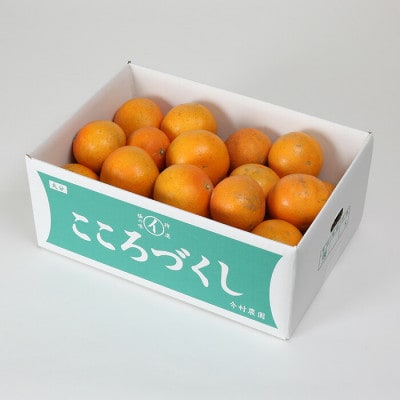 [訳あり・規格外品] 今村農園のおひさまきらりん 約4.5kg