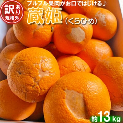 [訳あり・規格外品] 今村農園の蔵姫くらひめ(紅甘夏) 約13kg