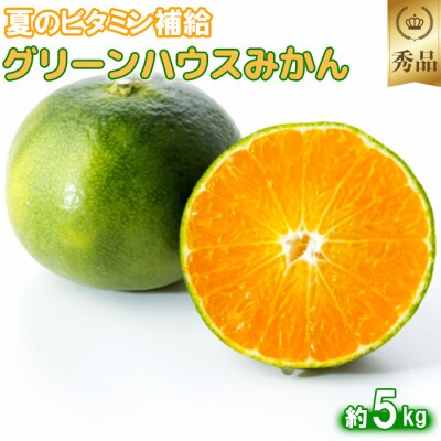 今村農園のグリーンハウスみかん 約5kg [秀品]