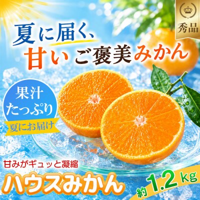 今村農園のハウスみかん 約1.2kg [秀品]