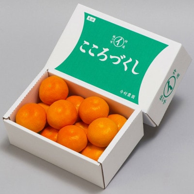 今村農園のハウスみかん 約1.2kg [秀品]