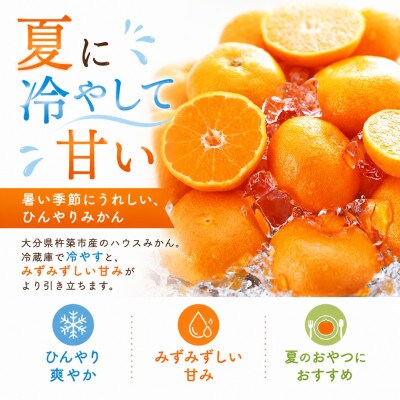 今村農園のハウスみかん 約1.2kg [秀品]