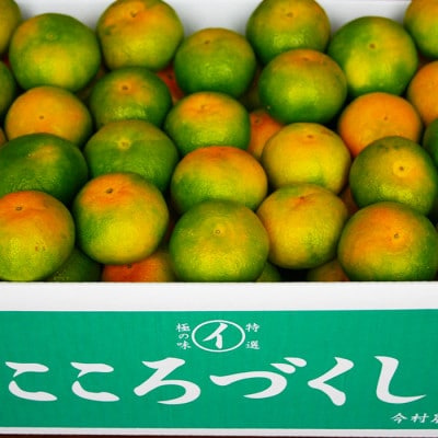 今村農園のグリーンハウスみかん 約20kg [秀品]