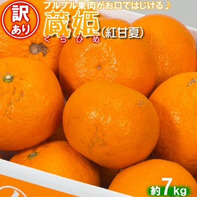 [訳あり・優品] 今村農園の蔵姫くらひめ(紅甘夏) 約7kg