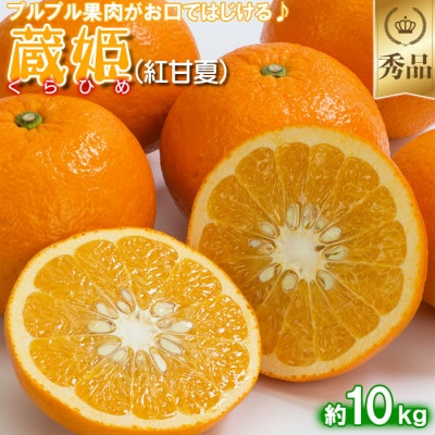 今村農園の蔵姫くらひめ(紅甘夏) 約10kg [秀品]