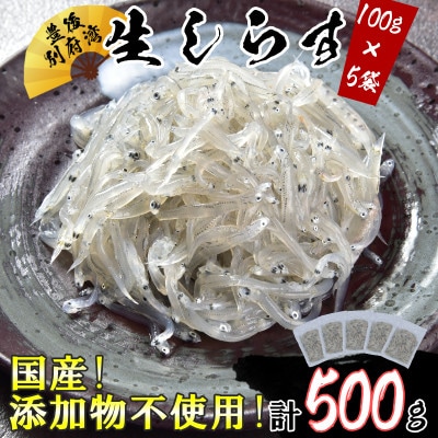 国産!添加物不使用!豊後別府湾生しらす5袋セット 計500g