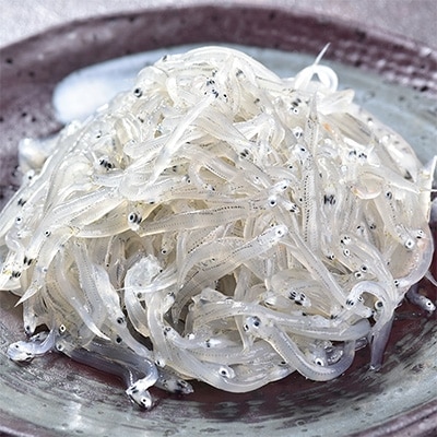 国産!添加物不使用!豊後別府湾生しらす5袋セット 計500g