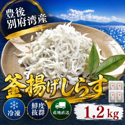 豊後別府湾釜揚げしらすセット 1200g 国産 添加物不使用