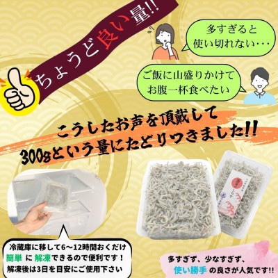 豊後別府湾釜揚げしらすセット 1200g 国産 添加物不使用