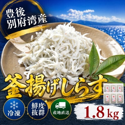 豊後別府湾釜揚げしらすセット 1800g 国産 添加物不使用