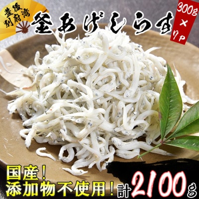 国産!添加物不使用!豊後別府湾釜揚げしらす大容量セット 2100g