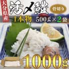大分県産活じめ鱧(はも)1本物 骨切り切身 たっぷり 1000g