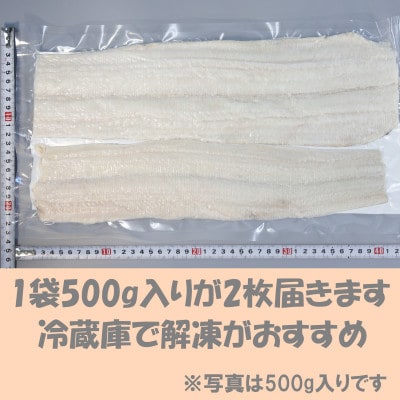 大分県産活じめ鱧(はも)1本物 骨切り切身 たっぷり 1000g