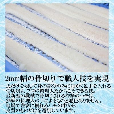 大分県産活じめ鱧(はも)1本物 骨切り切身 たっぷり 1000g