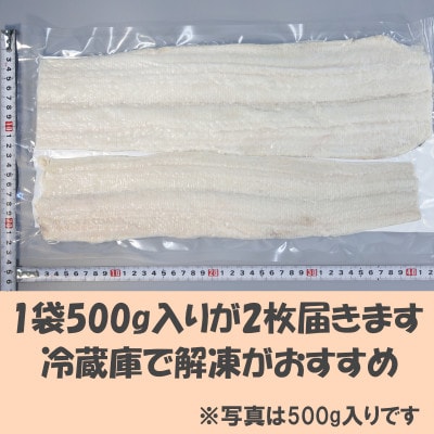 大分県産活じめ鱧(はも)1本物 骨切り切身 たっぷり 1000g
