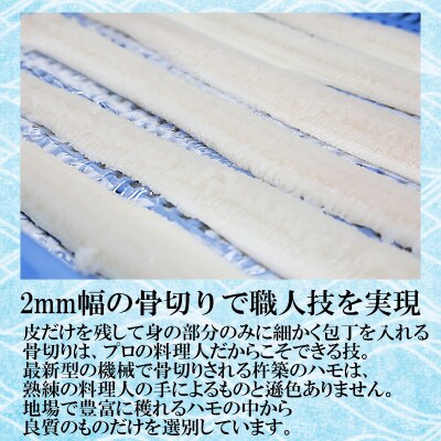 大分県産活じめ鱧(はも)1本物 骨切り切身 たっぷり 1500g