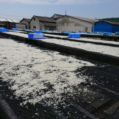 国産!添加物不使用!豊後別府湾産 しらす・ちりめん 食べ比べセット 計1100g